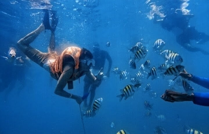 5 Islas experiences