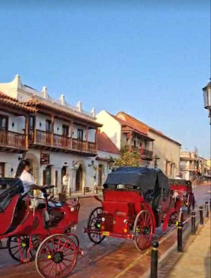 City Tours
