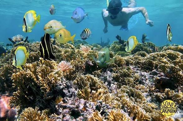 4 Islas experiences